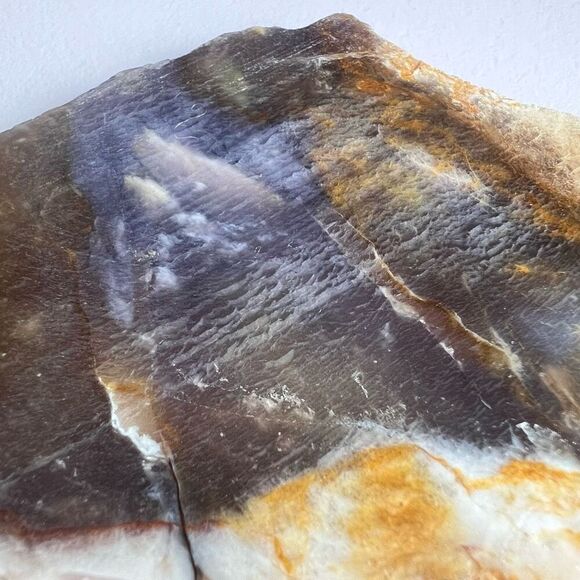Blue Petrified Wood Freeform Slab (4) - Picture 4 of 10